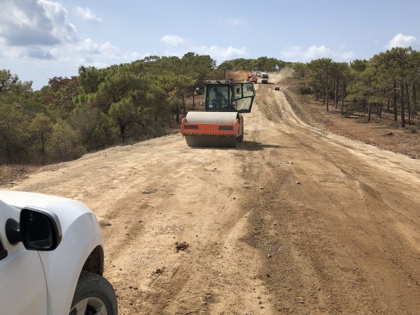 Cost of Driveway Grading in Eagle