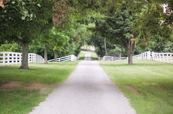 Cost of Gravel Road Installation in Eagle