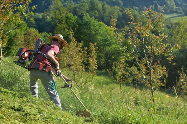 Cost of Slope Trimming in Eagle